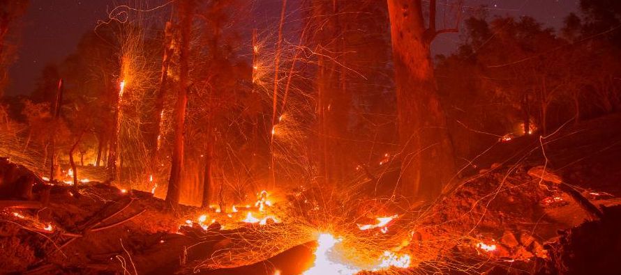 Más de 8,000 bomberos continúan trabajando para sofocar unas llamas que han destruido...