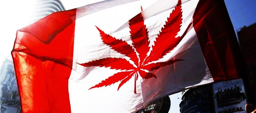 Canadá ha anunciado que legalizará el consumo de marihuana para fines recreativos...