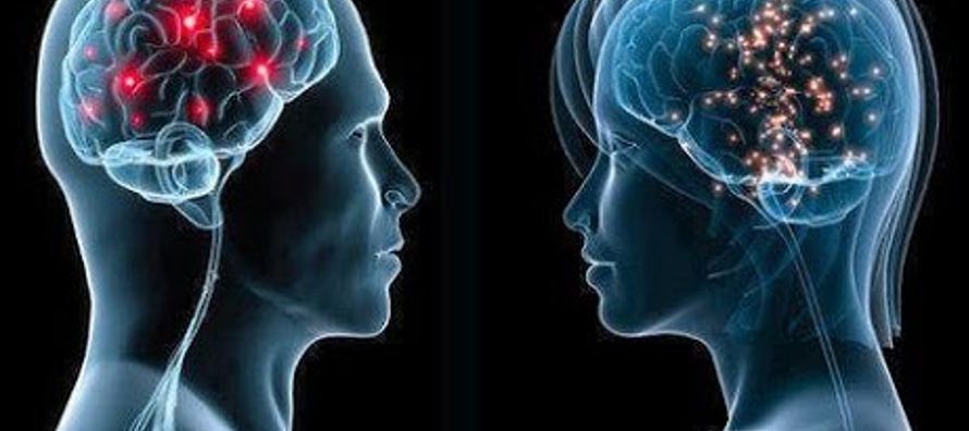 Desde hace décadas, se han analizado los cerebros de ambos sexos tratando de definir rasgos...