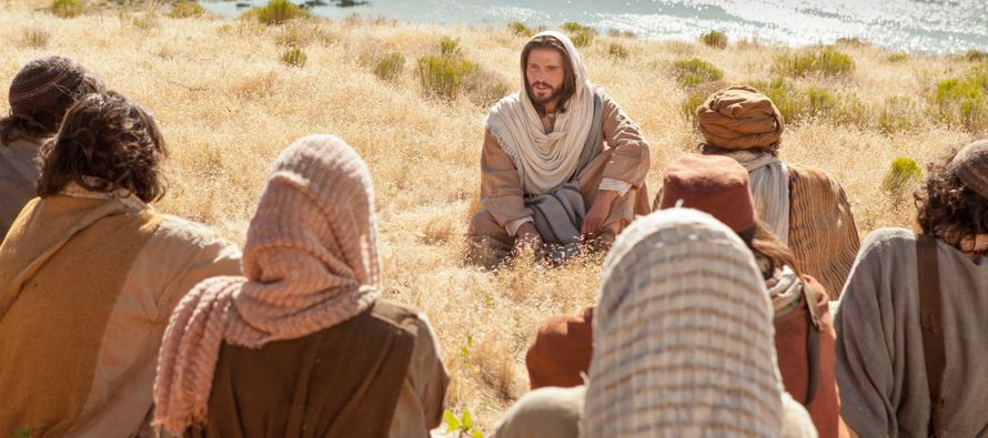 Al desembarcar, Jesús vio una multitud y le dio lástima de ellos, porque andaban como...