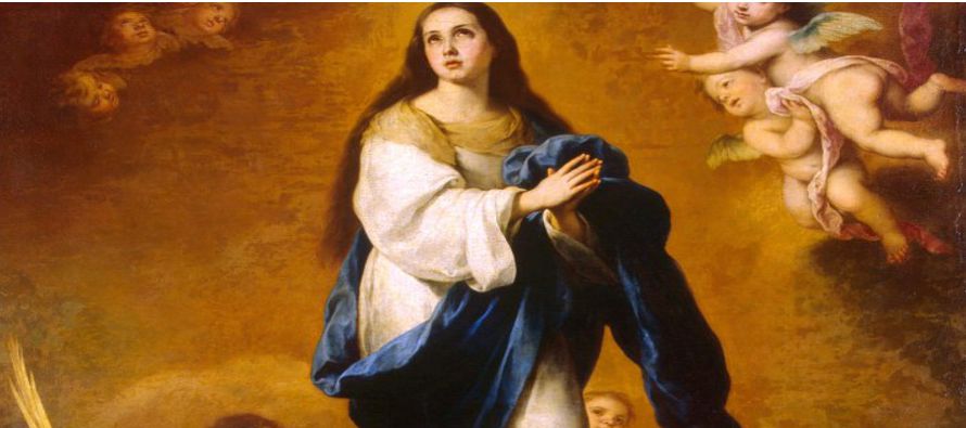 María Santísima es, en efecto, la cumbre de la creación, el vértice de...