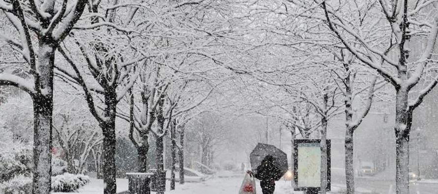 Tras acumular hasta 35 centímetros de nieve en la ciudad de Nueva York, tumbar...