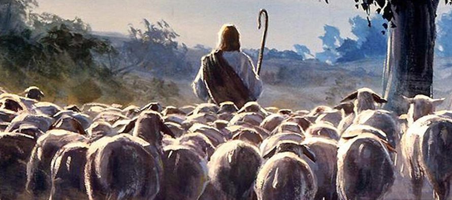 «Mis ovejas escuchan mi voz; yo las conozco y ellas me siguen. Yo les doy vida eterna y no...