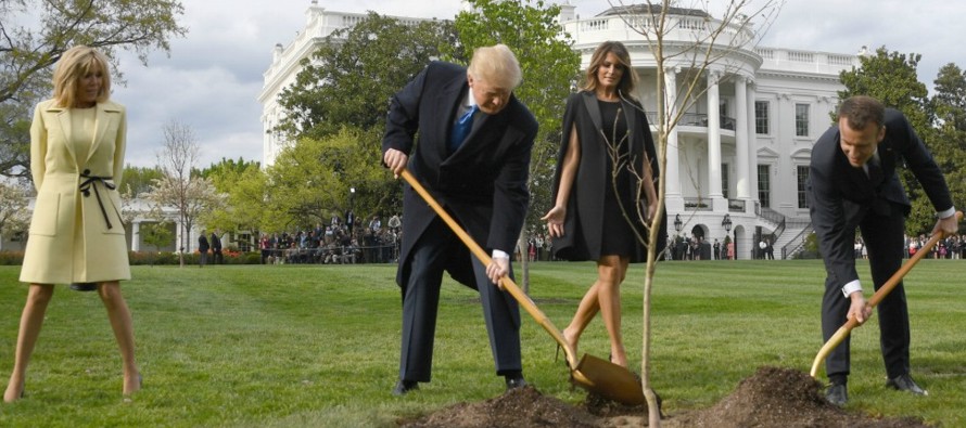 La imagen de Trump y Macron, vestidos de traje y cavando un hoyo para plantar el árbol,...