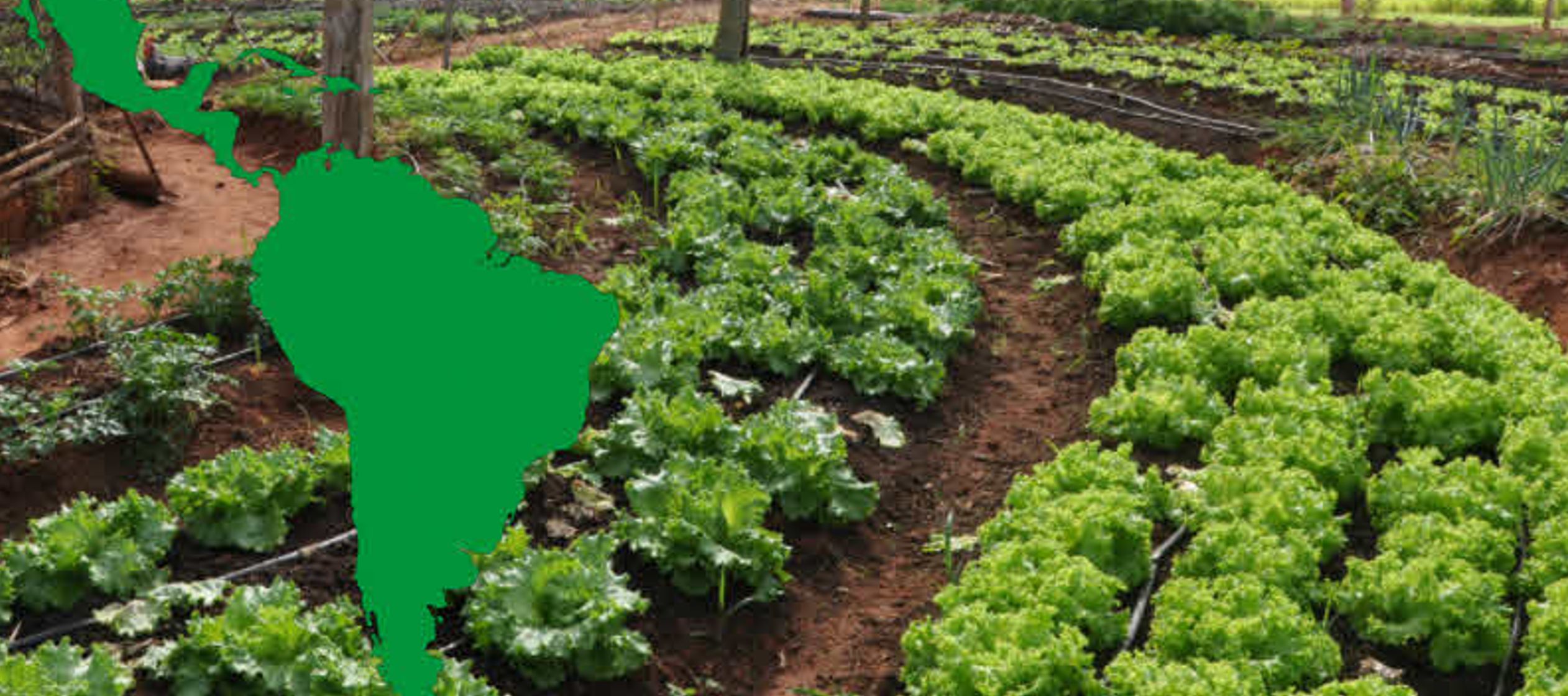 "La transformación del agro y las zonas rurales es un problema de todos", dijo en...