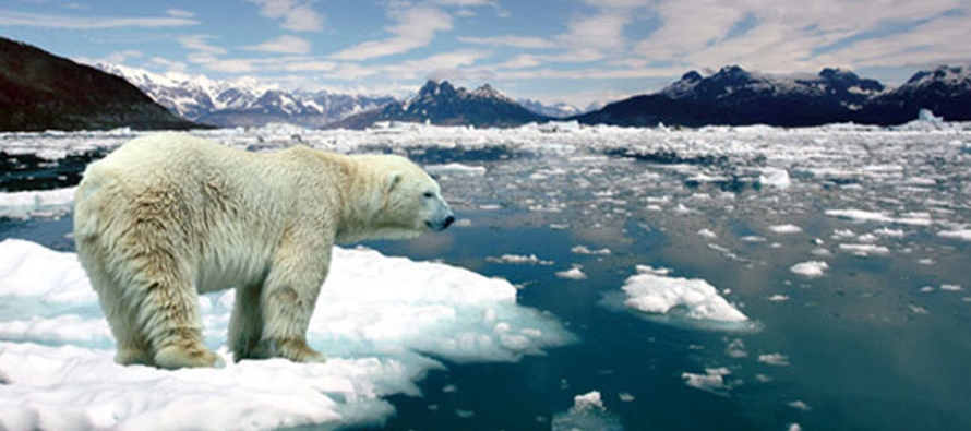 En los últimos años, el Ártico ha experimentado -a causa del calentamiento...