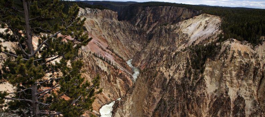 Las temperaturas promedio en Yellowstone, designado como Patrimonio Mundial y Reserva de la...
