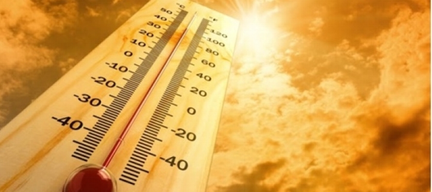 Un aumento de 3 o 4 grados Celsius podría elevar las tasas de mortalidad entre un 1 y un 9...
