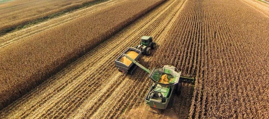 En la temporada previa, los agricultores brasileños cosecharon unos 227,91 millones de...