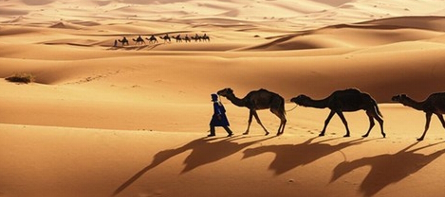 Sahara: es el desierto de arena más grande del mundo, que se extiende en Africa...