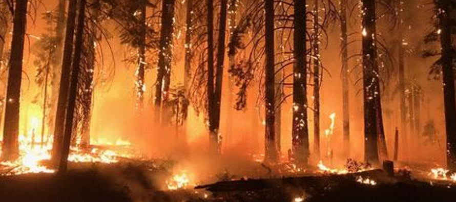 De acuerdo con el Departamento Forestal y de Protección contra Incendios de California, los...