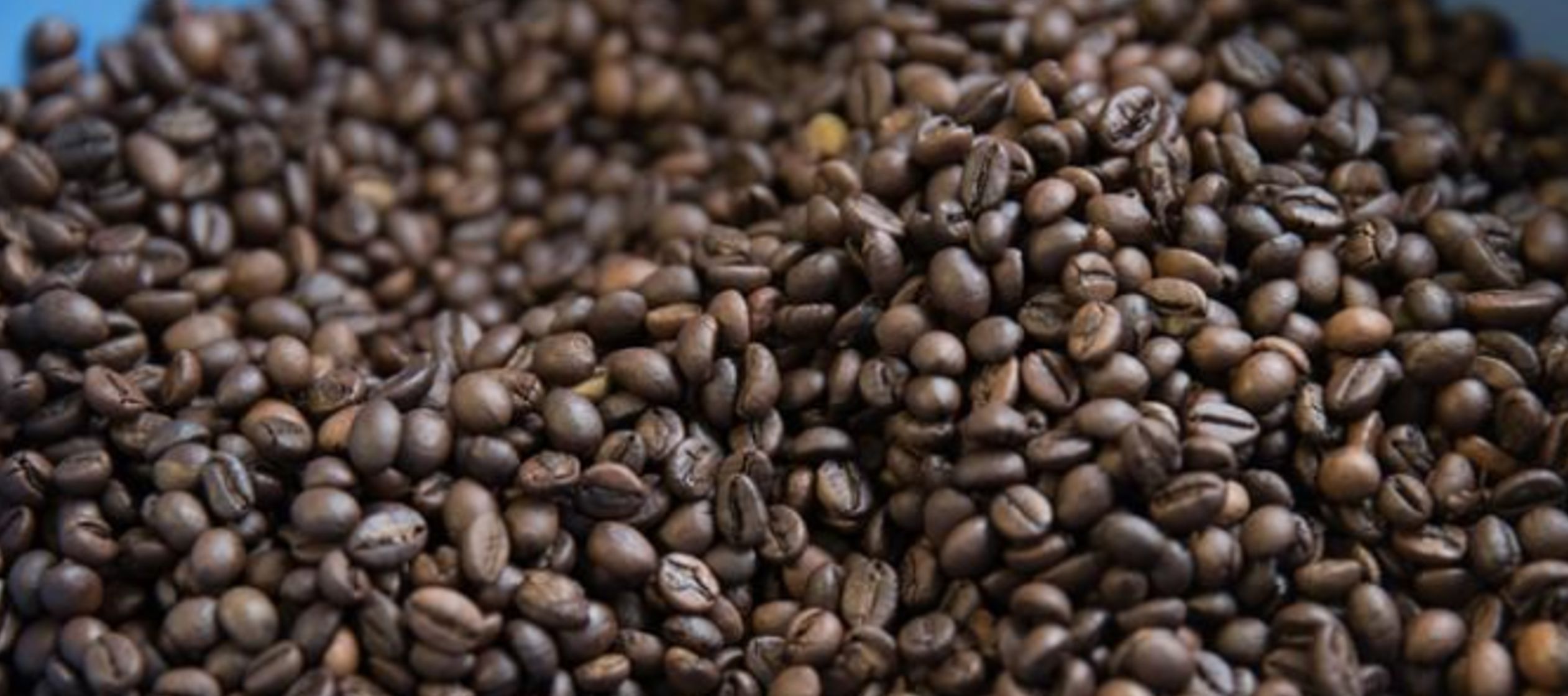 El café robusta para marzo trepó 24 dólares, o un 1,6 por ciento, a 1.551...