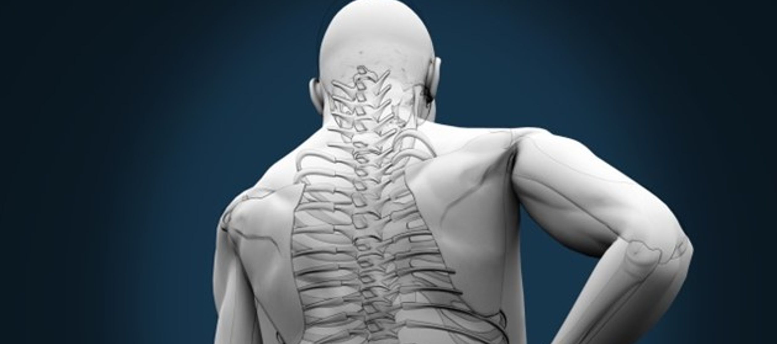 El estudio, "Los reflejos del estiramiento espinal apoyan el control manual eficiente",...