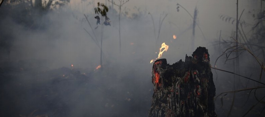 Macron y otros gobernantes europeos afirman que los incendios en la Amazonía requieren una...