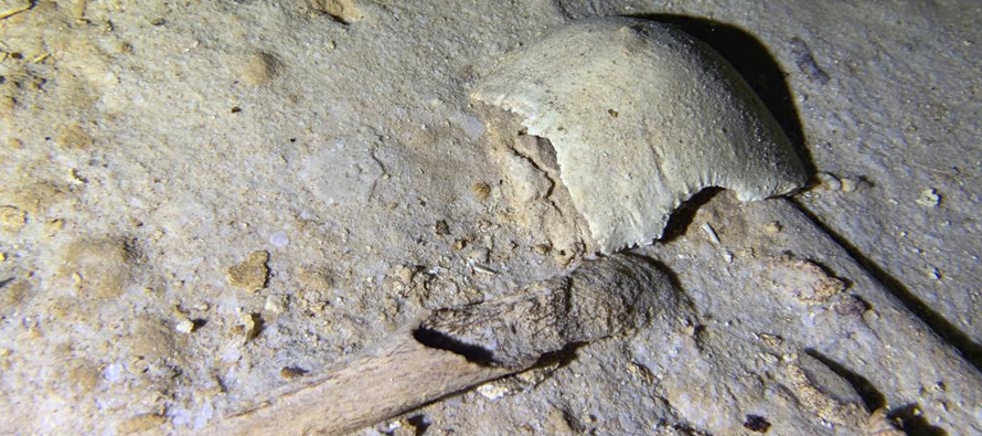 Algunos de los restos humanos más antiguos de América del Norte han sido descubiertos...