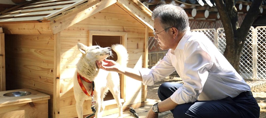 Moon Jae-in, un liberal que dejó el cargo en mayo, recibió los dos perros de caza...