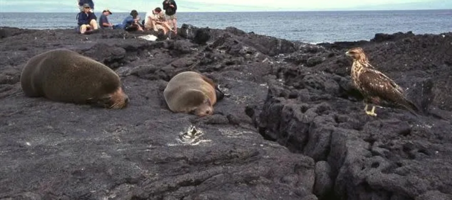 La autoridad ambiental, que calificó a las Galápagos como "el mejor destino...