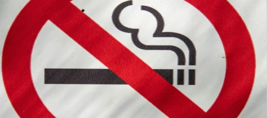 El decreto presidencial, que modifica la ley nacional para el control del tabaco, apunta a "la...