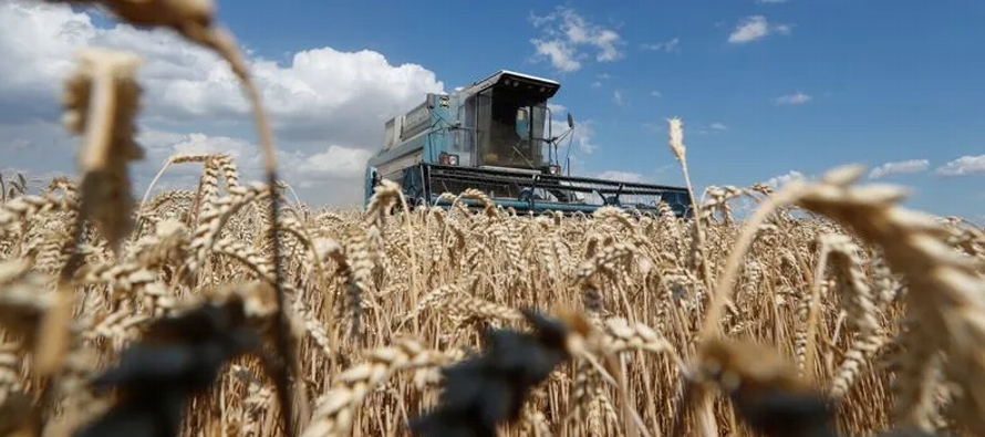Ucrania es un importante productor y exportador de cereales, pero su cosecha podría...