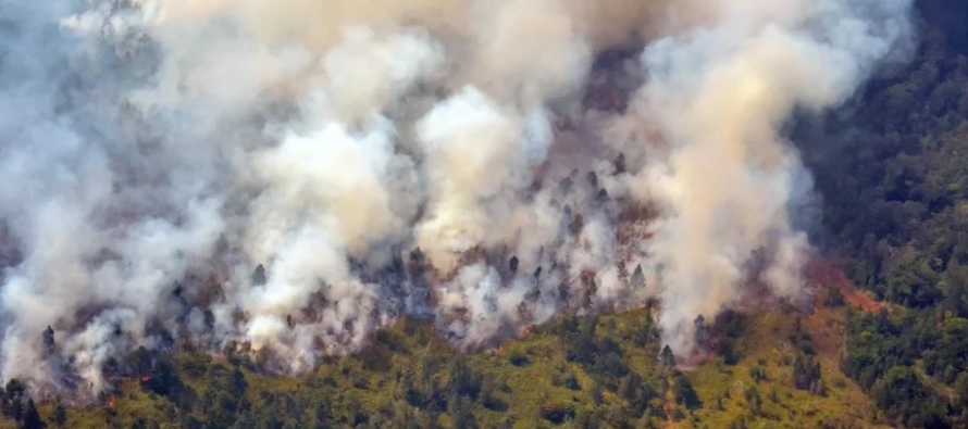 Hace unas semanas, se desató otro incendio forestal que causó severos daños en...
