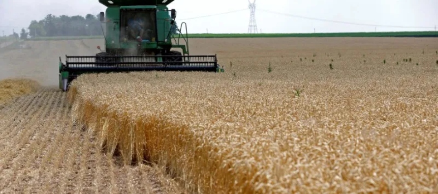 Los futuros de maíz para julio en Chicago subían 6,25 centavos, a 5,7725...