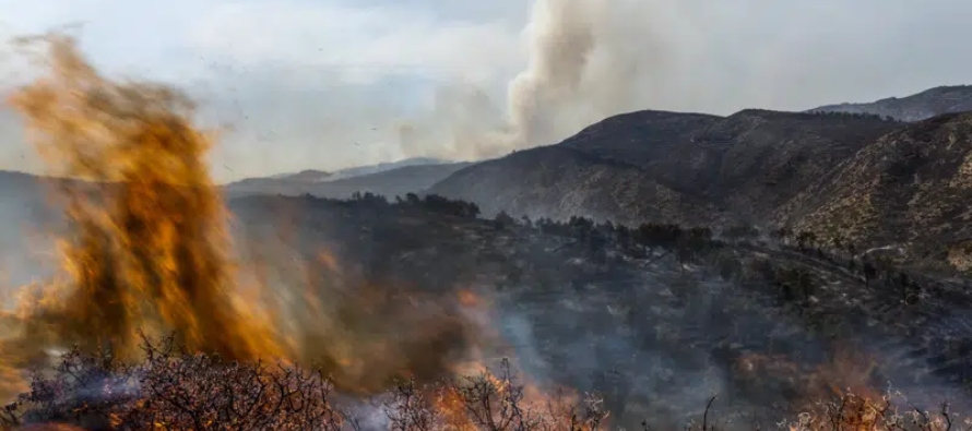 Unas 267,000 hectáreas (666,000 acres) fueron arrasadas por las llamas el año pasado...