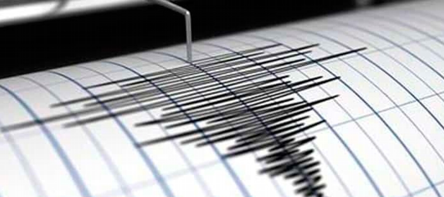 Los temblores se sintieron en varias partes de la región nororiental de la India, incluidos...