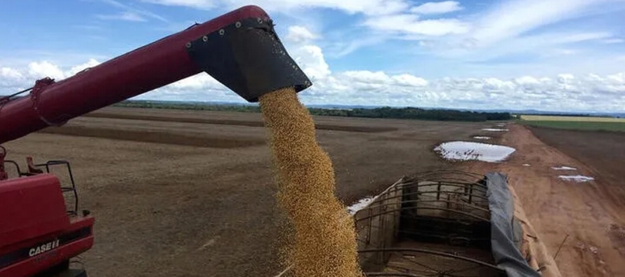 Brasil podría establecer un récord de producción de soja de alrededor de 160...