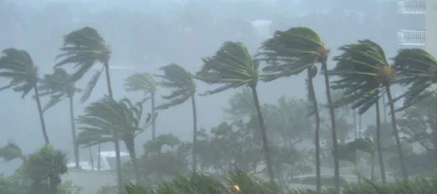 La tormenta se ubica a unas 1.315 millas (2.115 km) al este de las Antillas Menores y se desplaza...
