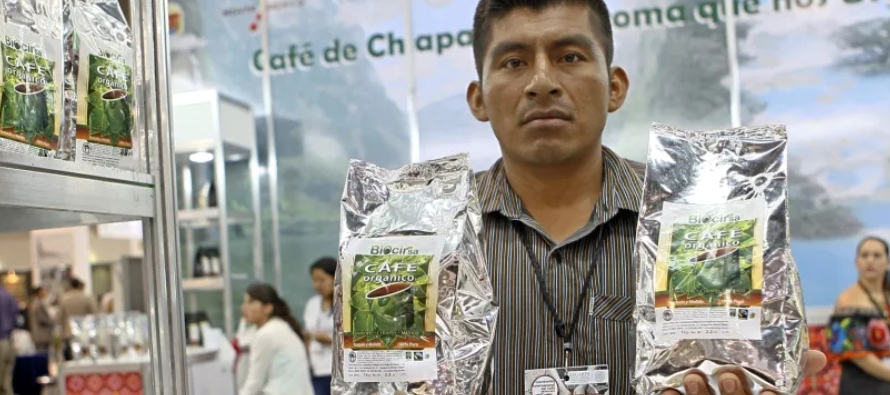 La producción de café da empleo a más de 500,000 productores y cosechadores de...