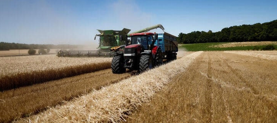 Los envíos de trigo de la UE esta temporada se han visto frenados por las exportaciones...