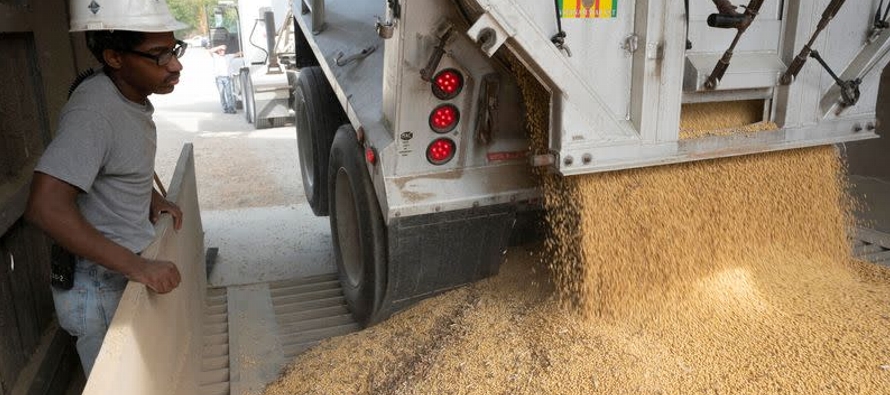 Los envíos acumulados de soja en el mes sumaron 4,8 millones de toneladas, frente a los 4...