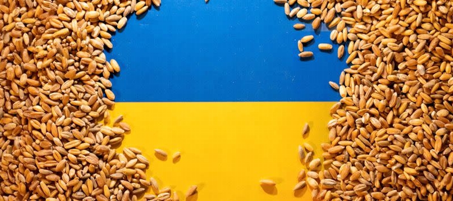 Ucrania es un productor tradicional de trigo de invierno, cebada y colza.