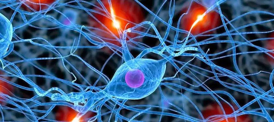 Los investigadores crearon un novedoso sistema de aprendizaje en el que una red neuronal se...