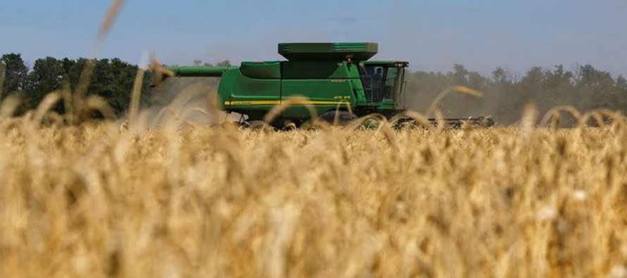 Más de 700,000 toneladas métricas de grano han salido de los puertos ucranianos por...