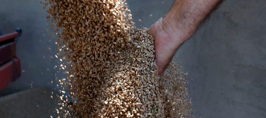 No obstante, las exportaciones totales de trigo blando de la UE en lo que va de campaña se...