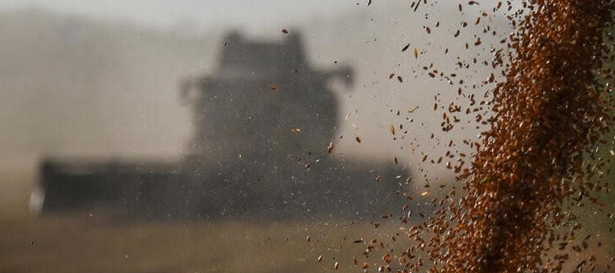 La cosecha de trigo de invierno y primavera ascendió a 92,77 millones de toneladas en peso...