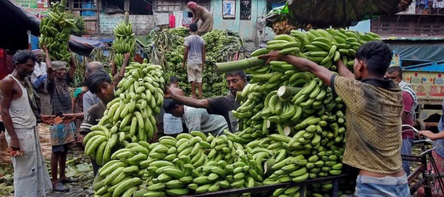 La agencia de seguridad alimentaria de Ecuador dijo el martes que sólo el 0,3% de los...