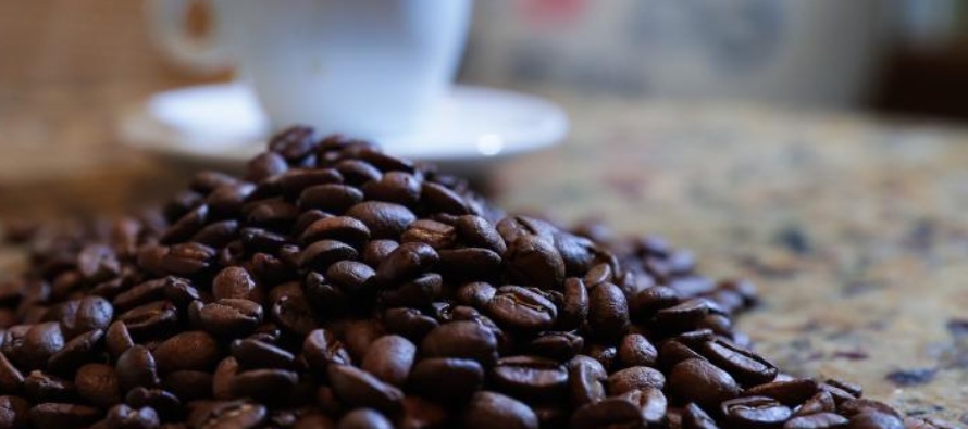 En 2023, las exportaciones de café brasileño dejaron ingresos por 8.041 millones de...