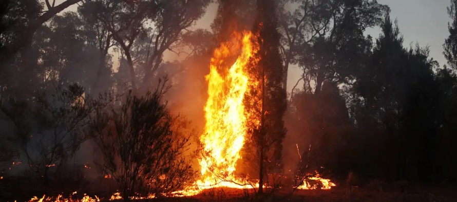 La temporada de incendios en Australia, uno de los países más vulnerables a la crisis...