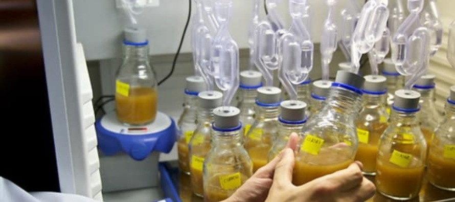 Un equipo de investigadores belgas caracterizó más de 200 propiedades químicas...