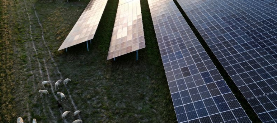 Alemania desecha planes para subvencionar la industria solar local