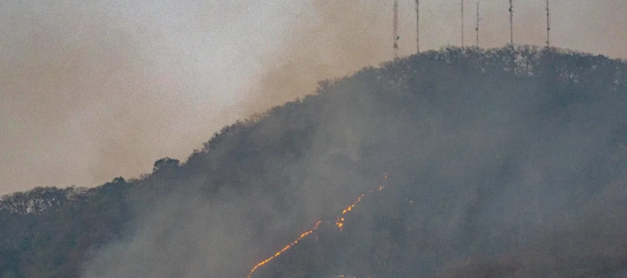 En México, se ubican dos temporadas de incendios forestales, con la primera entre enero y...