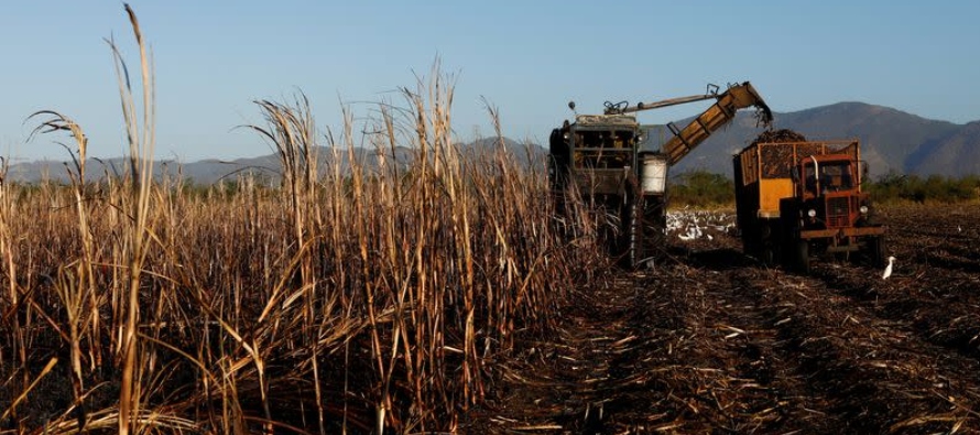 Cuba puede importar azúcar mientras industria del ron se ve presionada por una cosecha desastrosa
