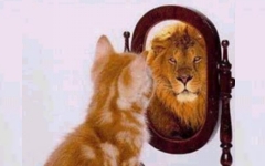 Quien alcanza el conocimiento del ser propio puede mirarse en el espejo cotidiano de sus actos, sin...