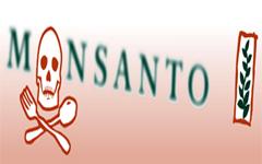 Si bien se sabe desde hace años que Monsanto contaminó totalmente la ciudad de...