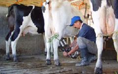 las importaciones de leche descremada y de fórmulas lácteas que en ocasiones no...
