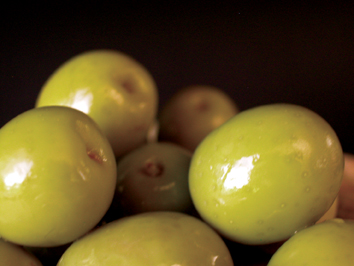 Todo el mundo ha comido alguna vez aceitunas. Verdes o negras, pero aceitunas, u olivas, que por...