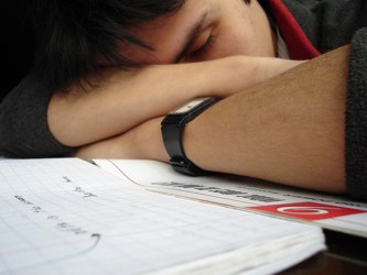 El informe determina que los profesores dedican de media el 13 por ciento del tiempo de clase a...