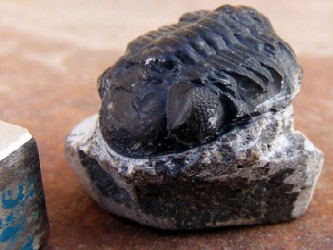 Los minerales del meteorito -llamados inclusiones minerales- son los restos sólidos...